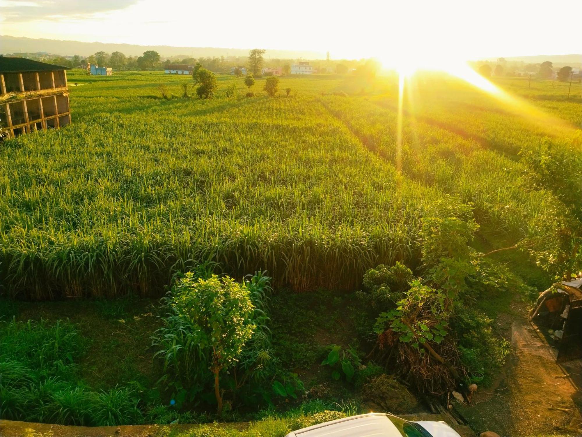 Airport Luxury Nature Valley Homestay Doiwala Exterior photo